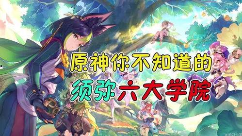 原神最新爆料须弥,原神新世界揭开面纱